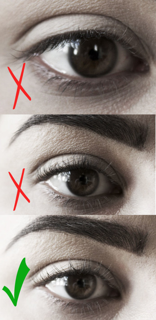 eyelashes_graphic